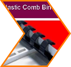 Busy Bee - Plastic Comb Binding